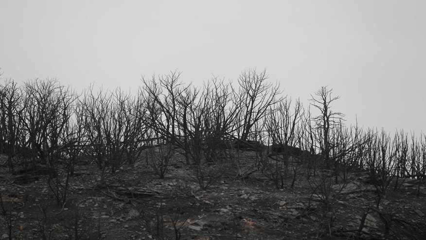 Destruction From Texas Wildfire